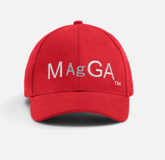 MAgGA-  GSilver cap