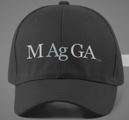MAgGA-  GSilver cap